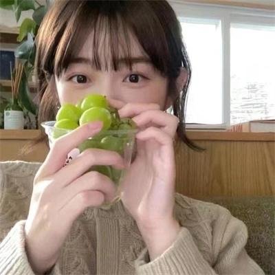 仙人掌花